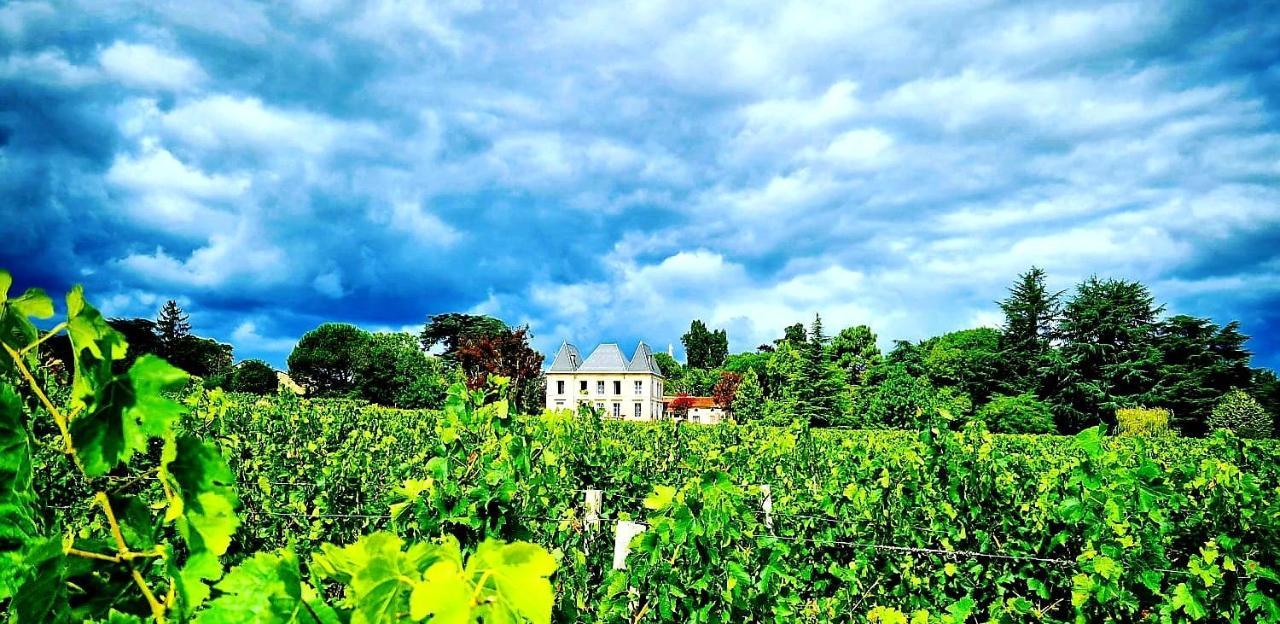 Chateau Tanesse De Tourny Bayon Kültér fotó